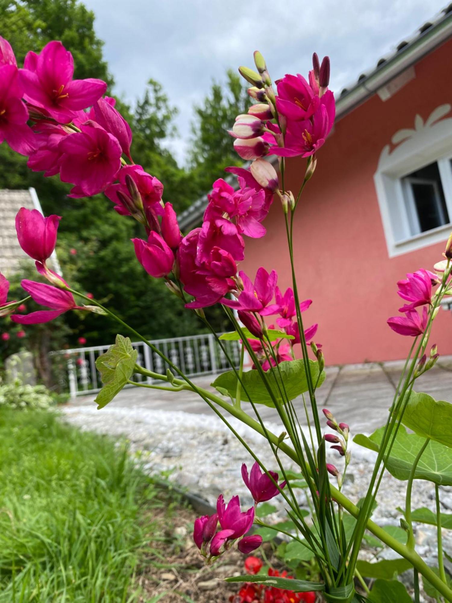 Pension Hadanig Apartment Techelsberg Luaran gambar