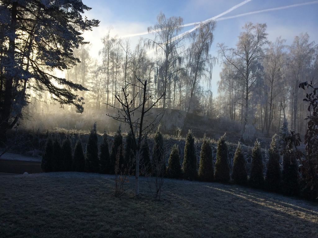 Pension Hadanig Apartment Techelsberg Bilik gambar